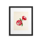 Cereus cactus by Clarissa Munger Badger, "Floral Belles," 1866 (benefitting The Nature Conservancy) Framed Art Print Gallery Image 4