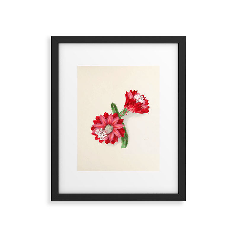 Cereus cactus by Clarissa Munger Badger, "Floral Belles," 1866 (benefitting The Nature Conservancy) Framed Art Print Gallery Image 4