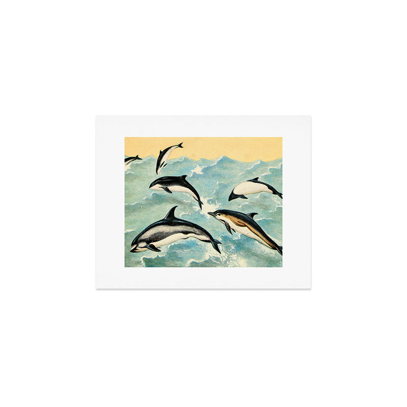 Cetaceans from "Field Book of Giant Fishes," 1949. Art Print Gallery Image 1
