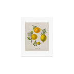 Citrus from "Flore dâAmÃ©rique" by Ãtienne Denisse, 1840s Art Print Gallery Image 1