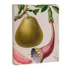 Citrus from "Flore dâAmÃ©rique" by Ãtienne Denisse, 1840s Canvas Print Gallery Image 6