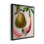 Citrus from "Flore dâAmÃ©rique" by Ãtienne Denisse, 1840s Framed Canvas Print Gallery Image 2