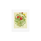 Clover by Anne Pratt, 1800s (benefitting The Nature Conservancy) Art Print Gallery Image 1