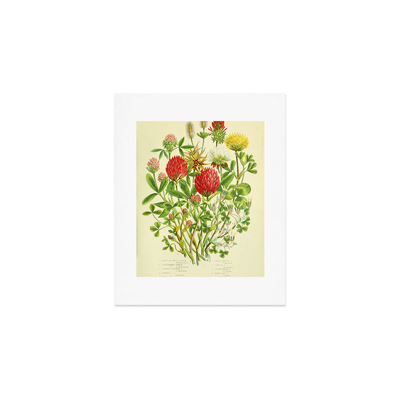 Clover by Anne Pratt, 1800s (benefitting The Nature Conservancy) Art Print Gallery Image 1