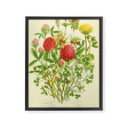 Clover by Anne Pratt, 1800s (benefitting The Nature Conservancy) Framed Canvas Print Gallery Image 6