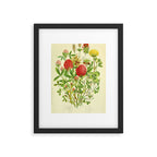 Clover by Anne Pratt, 1800s (benefitting The Nature Conservancy) Framed Art Print Gallery Image 5