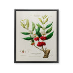 Coffee plant by Étienne Denisse from "Flore d'Amérique" (1843)  Framed Canvas Print Gallery Image 6