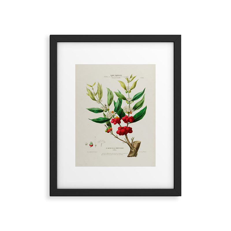 Coffee plant by Étienne Denisse from "Flore d'Amérique" (1843)  Framed Art Print Gallery Image 5