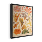 Corals from âThe Great Barrier Reef of Australiaâ by William Saville Kent, 1893 Framed Canvas Print Gallery Image 2