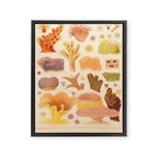 Corals from âThe Great Barrier Reef of Australiaâ by William Saville Kent, 1893 Framed Canvas Print Gallery Image 6
