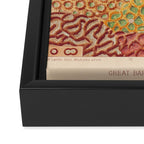Corals from âThe Great Barrier Reef of Australiaâ by William Saville Kent, 1893 Framed Canvas Print Gallery Image 3