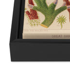 Corals from âThe Great Barrier Reef of Australiaâ by William Saville Kent, 1893 Framed Canvas Print Gallery Image 3