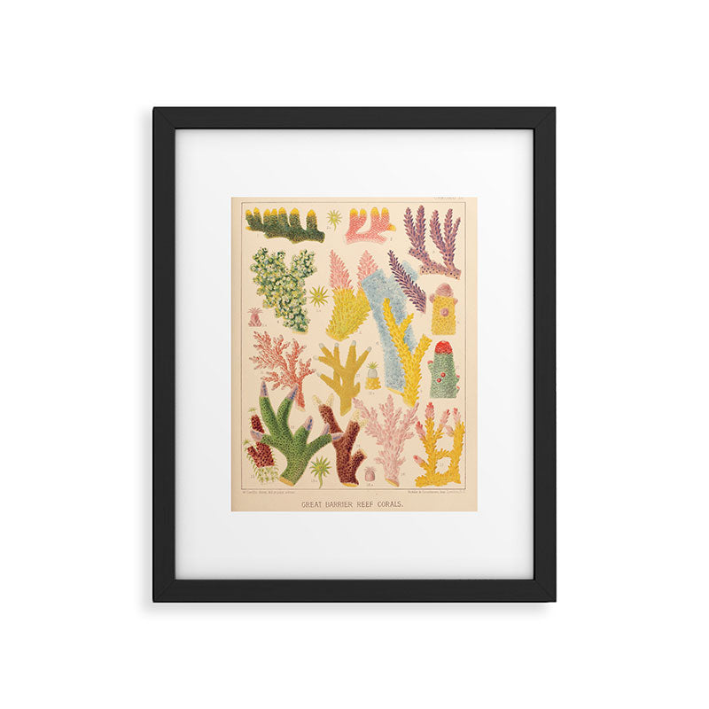 Corals from âThe Great Barrier Reef of Australiaâ by William Saville Kent, 1893 Framed Art Print Gallery Image 5