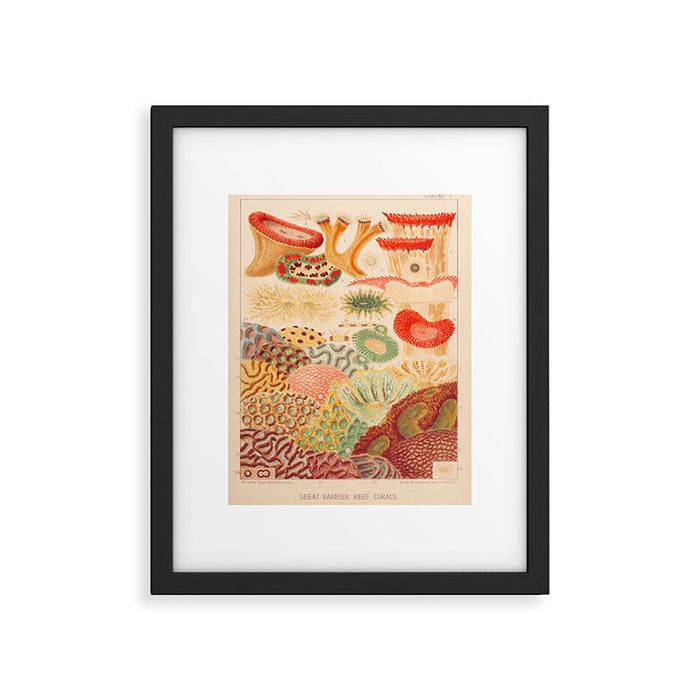 Corals from âThe Great Barrier Reef of Australiaâ by William Saville Kent, 1893 Framed Art Print Gallery Image 1