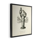 Crayfish (1895) Framed Canvas Print Gallery Image 2
