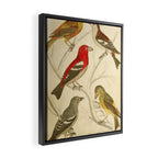 Crossbills from The Edinburgh Journal, 1835 (benefitting The Nature Conservancy) Framed Canvas Print Gallery Image 2