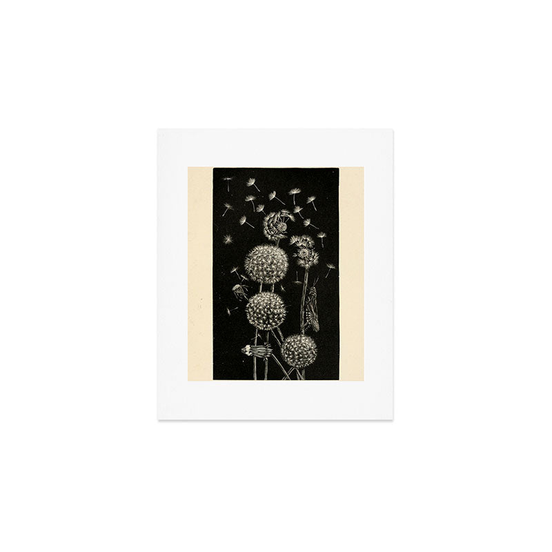 Dandelion with locust by Anna Botsford Comstock, early 1900s (benefitting The Nature Conservancy) Art Print Gallery Image 1