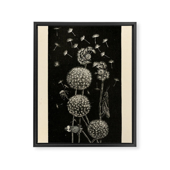Dandelion with locust by Anna Botsford Comstock, early 1900s (benefitting The Nature Conservancy) Framed Canvas Print Gallery Image 1
