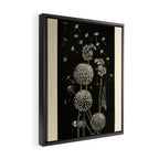 Dandelion with locust by Anna Botsford Comstock, early 1900s (benefitting The Nature Conservancy) Framed Canvas Print Gallery Image 2
