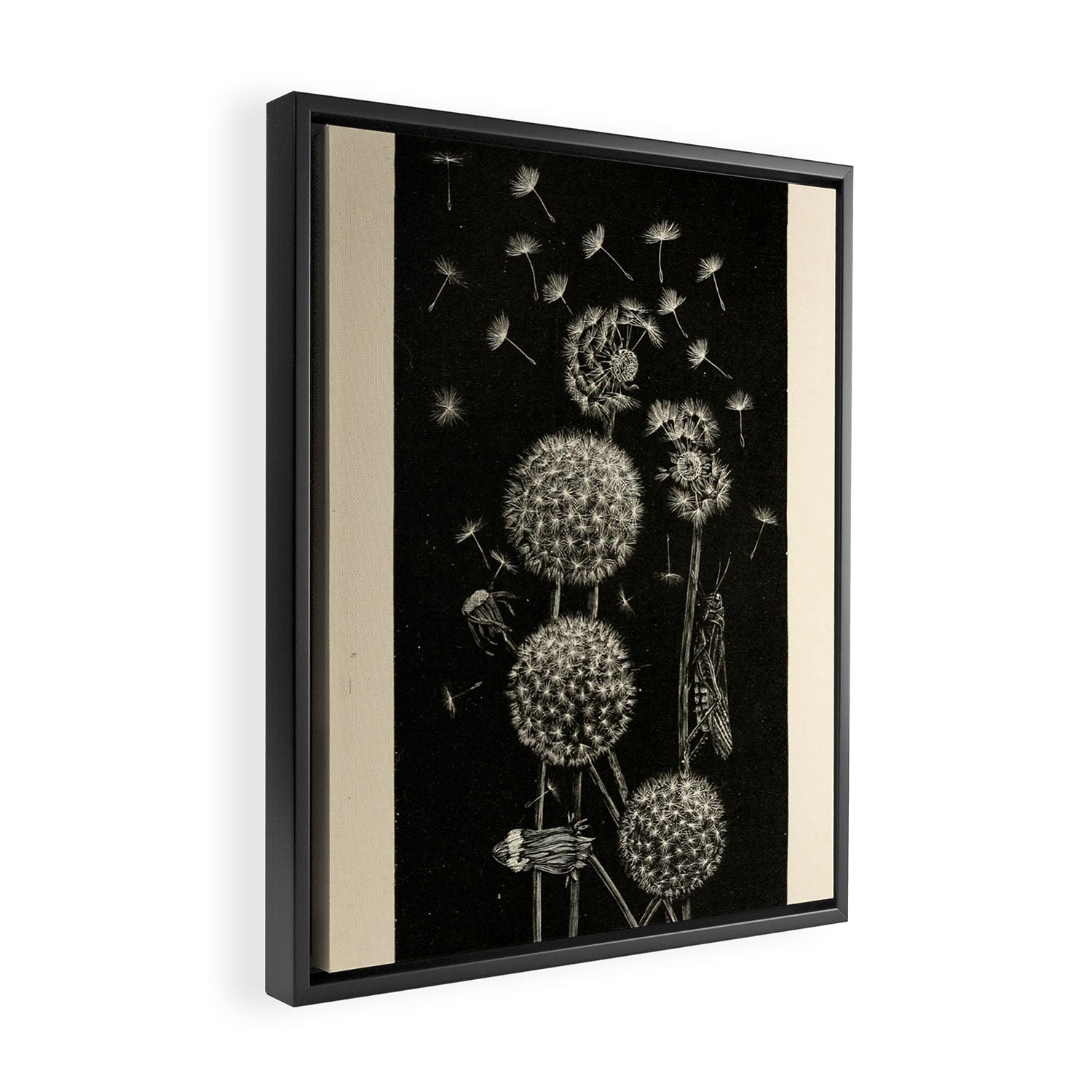 Dandelion with locust by Anna Botsford Comstock, early 1900s (benefitting The Nature Conservancy) Framed Canvas Print Gallery Image 2