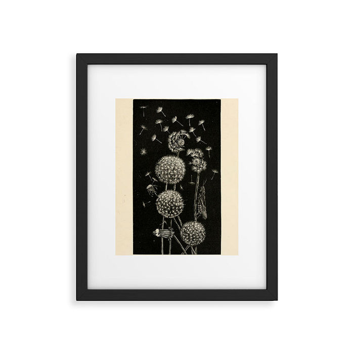 Dandelion with locust by Anna Botsford Comstock, early 1900s (benefitting The Nature Conservancy) Framed Art Print Gallery Image 1