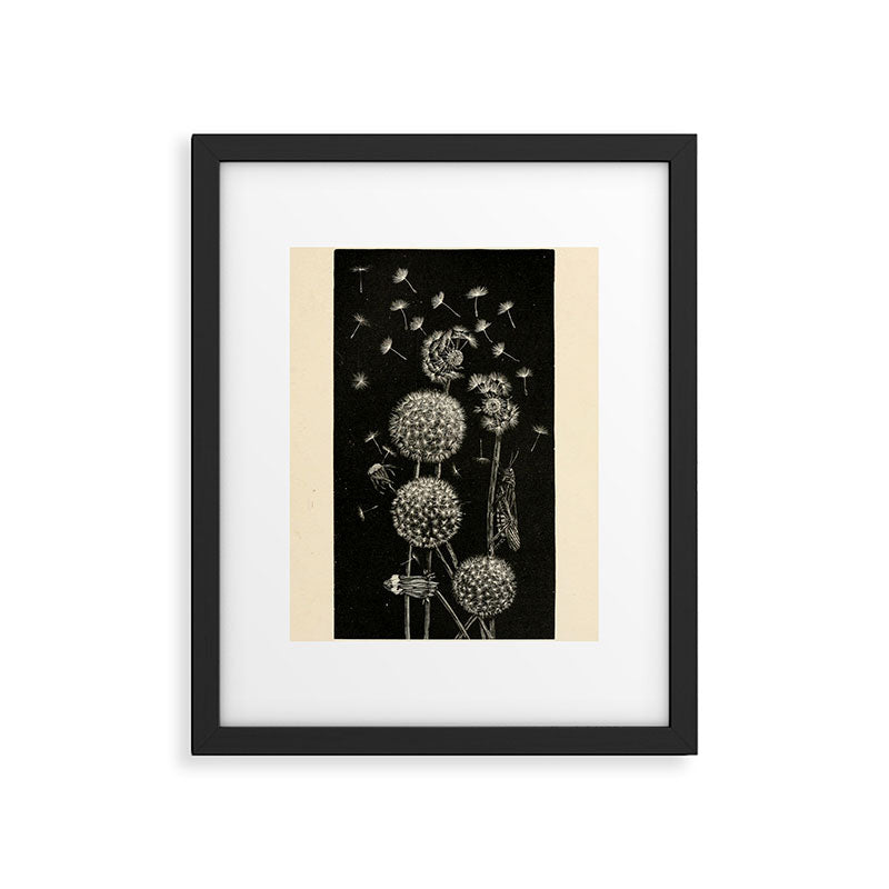 Dandelion with locust by Anna Botsford Comstock, early 1900s (benefitting The Nature Conservancy) Framed Art Print Gallery Image 5