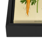 Daucus carota (wild carrot, Queen Anne's Lace), 1917. Benefitting The Nature Conservancy Framed Canvas Print Gallery Image 3