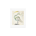 Egret by Dorothea Maria Graff, early 1700s Art Print Gallery Image 1