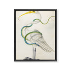 Egret by Dorothea Maria Graff, early 1700s Framed Canvas Print Gallery Image 6