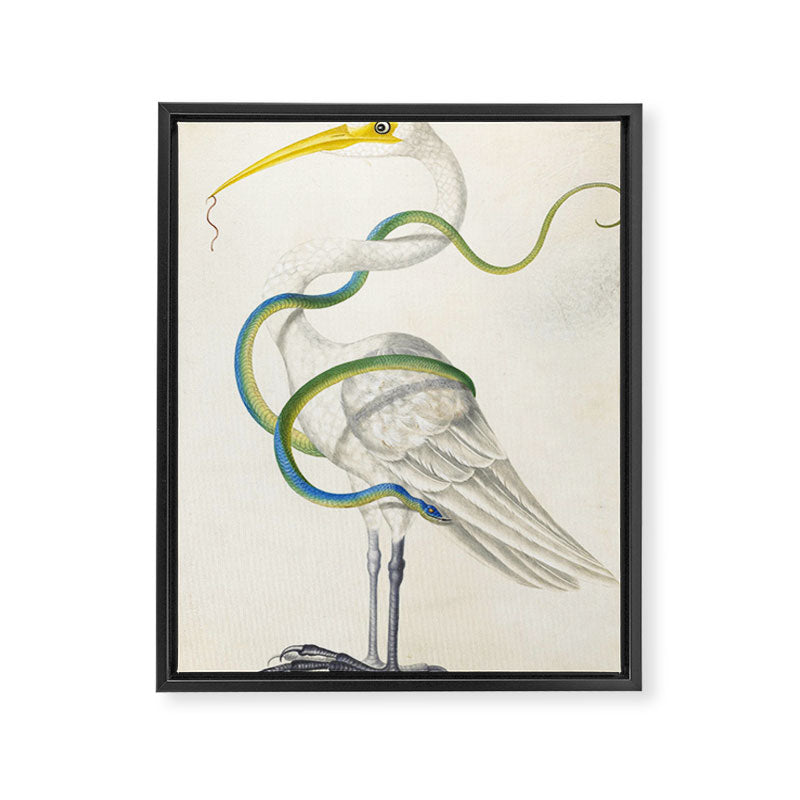 Egret by Dorothea Maria Graff, early 1700s Framed Canvas Print Gallery Image 6