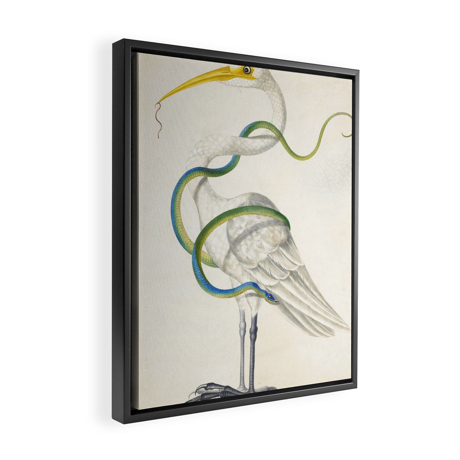 Egret by Dorothea Maria Graff, early 1700s Framed Canvas Print Gallery Image 2