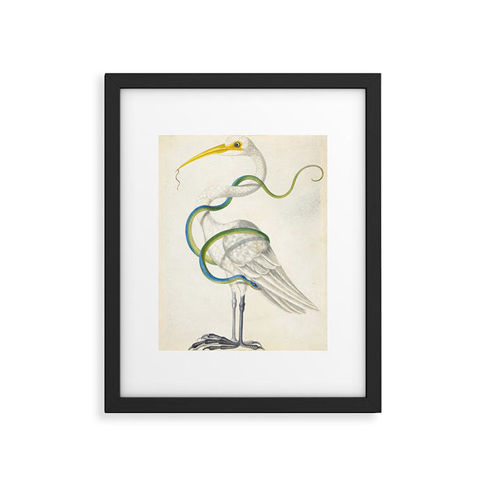 Egret by Dorothea Maria Graff, early 1700s Framed Art Print Gallery Image 1