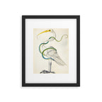 Egret by Dorothea Maria Graff, early 1700s Framed Art Print Gallery Image 5