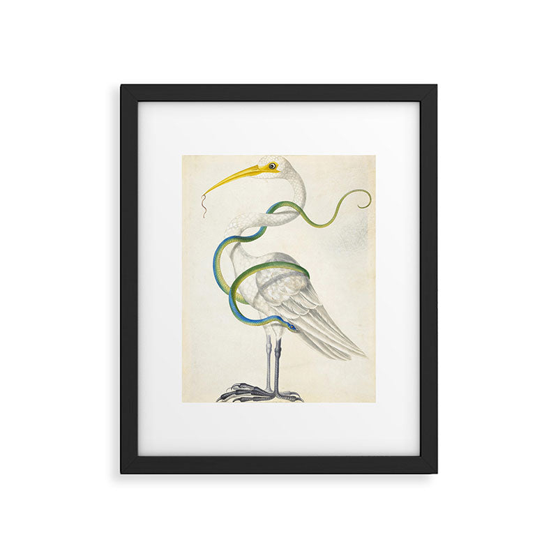 Egret by Dorothea Maria Graff, early 1700s Framed Art Print Gallery Image 5