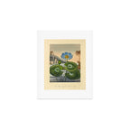 Egyptian Water Lily from "The Temple of Flora," 1812 (benefitting The Nature Conservancy) Art Print Gallery Image 1