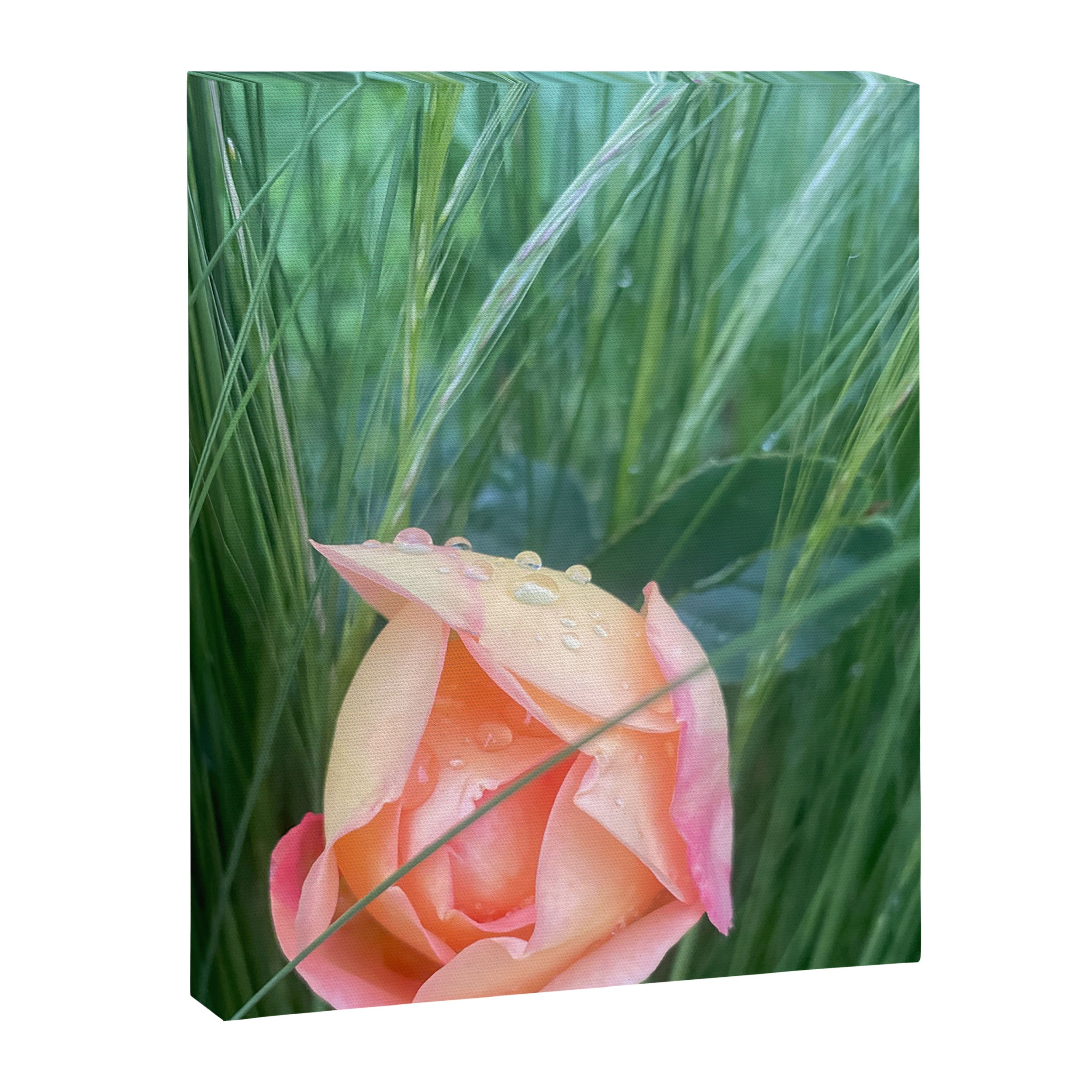 Elemental Forces Canvas Print Gallery Image 6