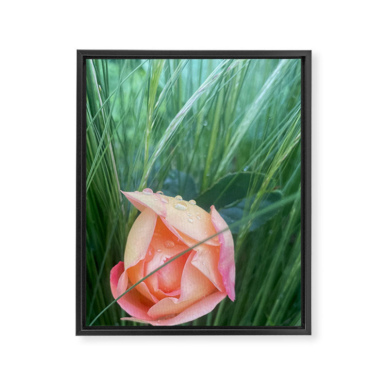 Elemental Forces Framed Canvas Print Gallery Image 6