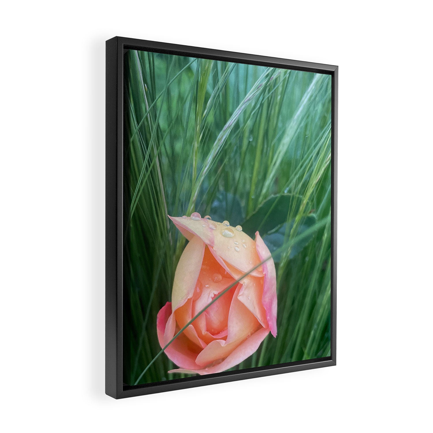 Elemental Forces Framed Canvas Print Gallery Image 2