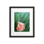 Elemental Forces Framed Art Print Gallery Image 5