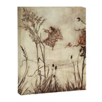 Fairy by Arthur Rackham from "PeterPan in Kensington Gardens," 1906 Canvas Print Gallery Image 6