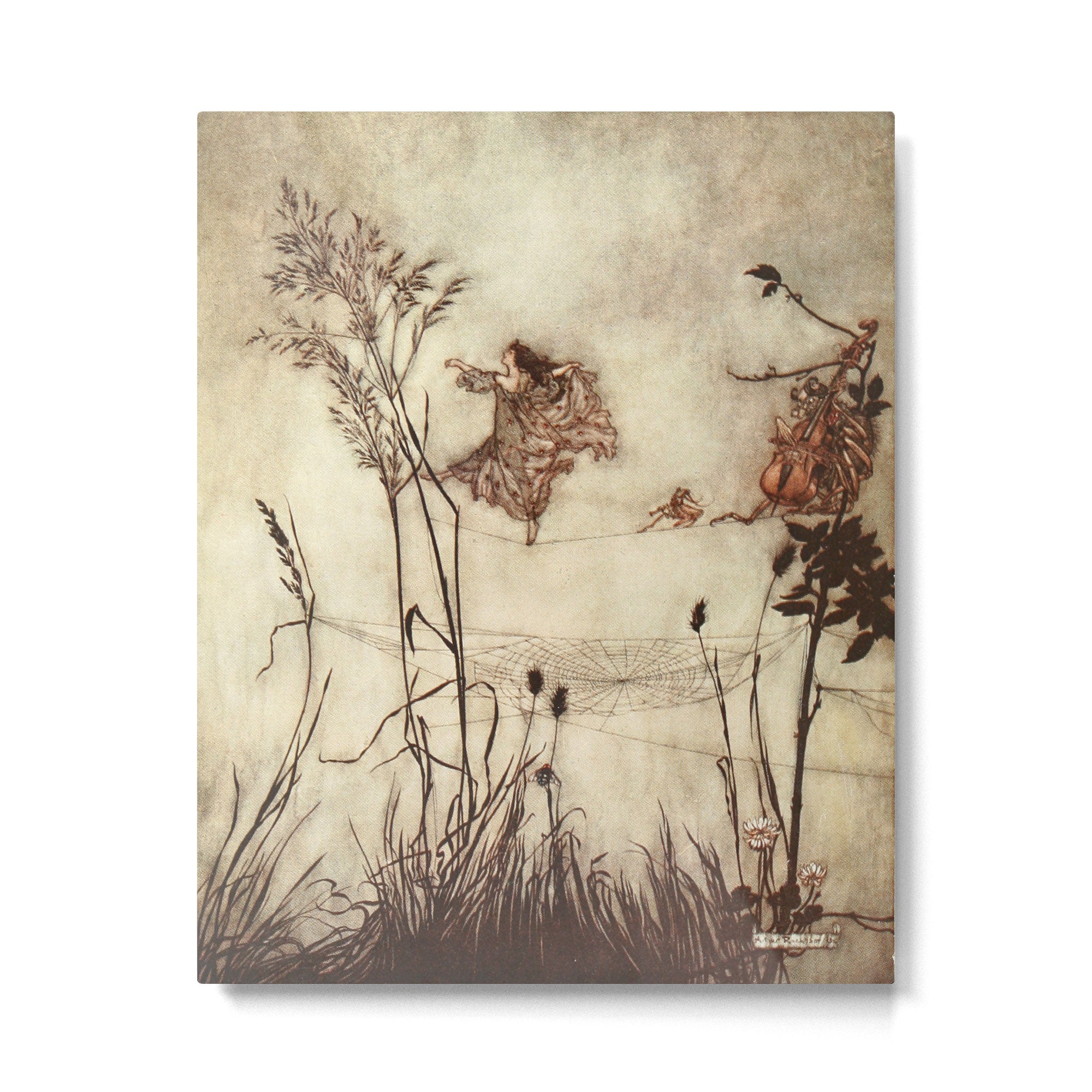 Fairy by Arthur Rackham from "PeterPan in Kensington Gardens," 1906 Metal Print Gallery Image 4