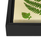 Fern by Anne Pratt, 1800s (benefitting The Nature Conservancy) Framed Canvas Print Gallery Image 3