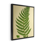 Fern by Anne Pratt, 1800s (benefitting The Nature Conservancy) Framed Canvas Print Gallery Image 2