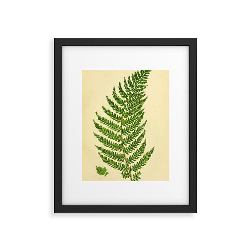 Fern by Anne Pratt, 1800s (benefitting The Nature Conservancy) Framed Art Print Gallery Image 5