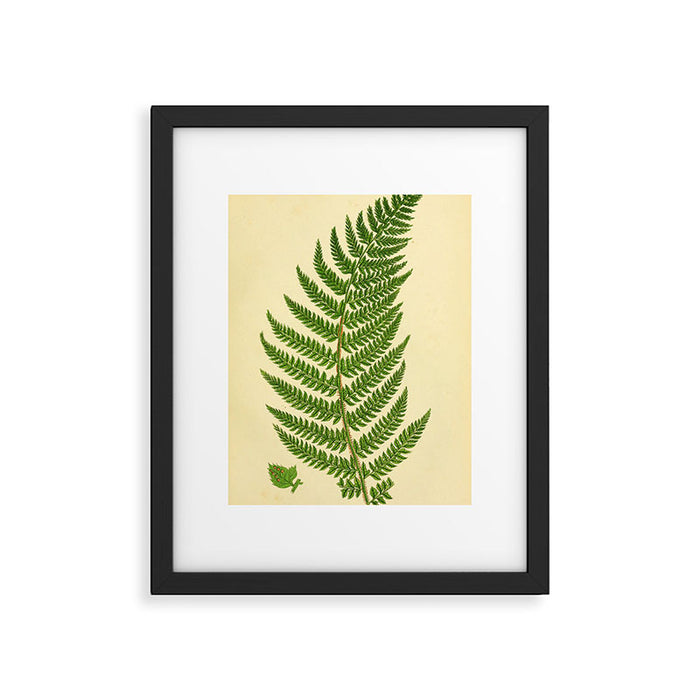 Fern by Anne Pratt, 1800s (benefitting The Nature Conservancy) Framed Art Print Gallery Image 1