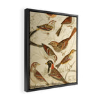 Finches from The Edinburgh Journal, 1835 (benefitting The Nature Conservancy) Framed Canvas Print Gallery Image 2