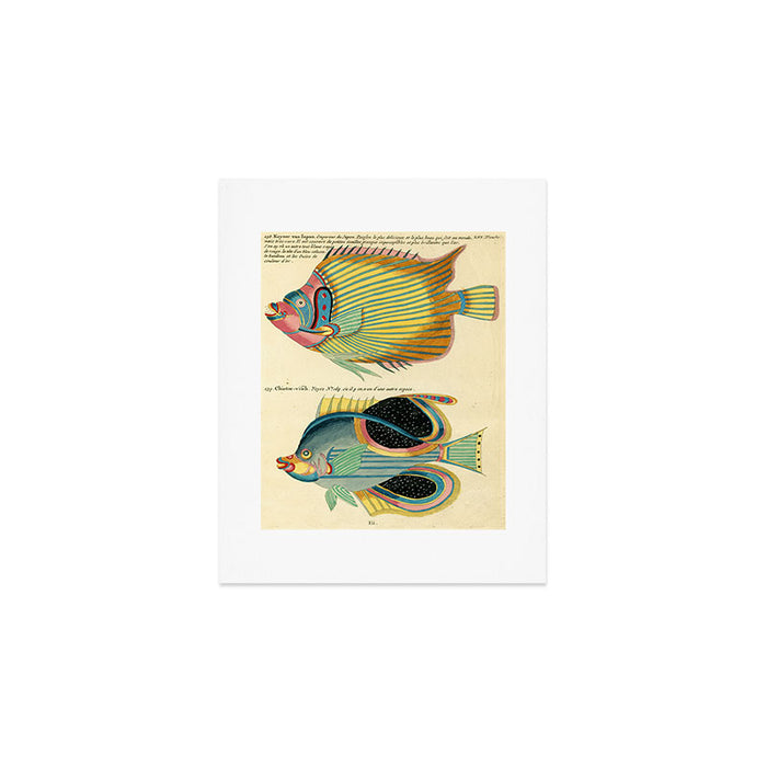 Fishes from Louis Renard's "Poissons, ecrevisses et crabes" (1754) Art Print Gallery Image 1