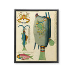 Fishes from Louis Renard's "Poissons, ecrevisses et crabes" (1754) Framed Canvas Print Gallery Image 6