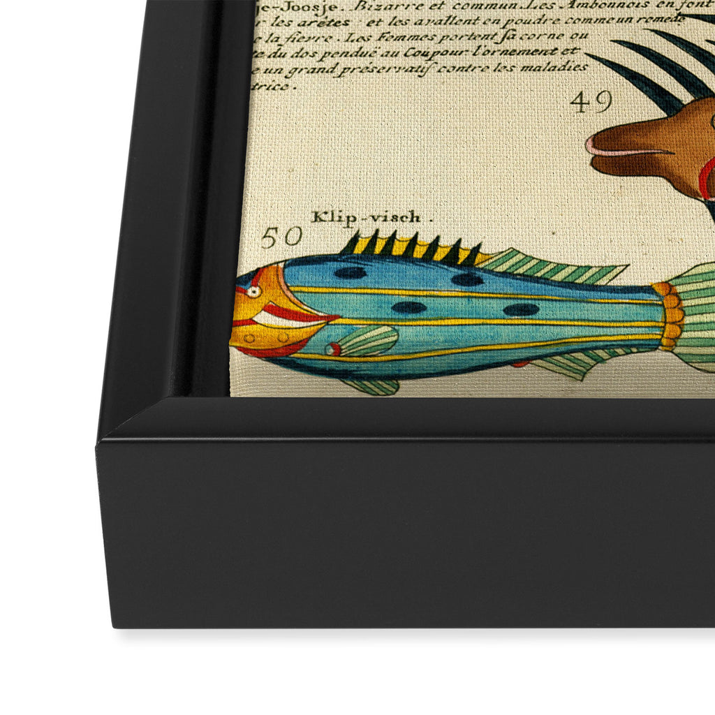 Fishes from Louis Renard's "Poissons, ecrevisses et crabes" (1754) Framed Canvas Print Gallery Image 3