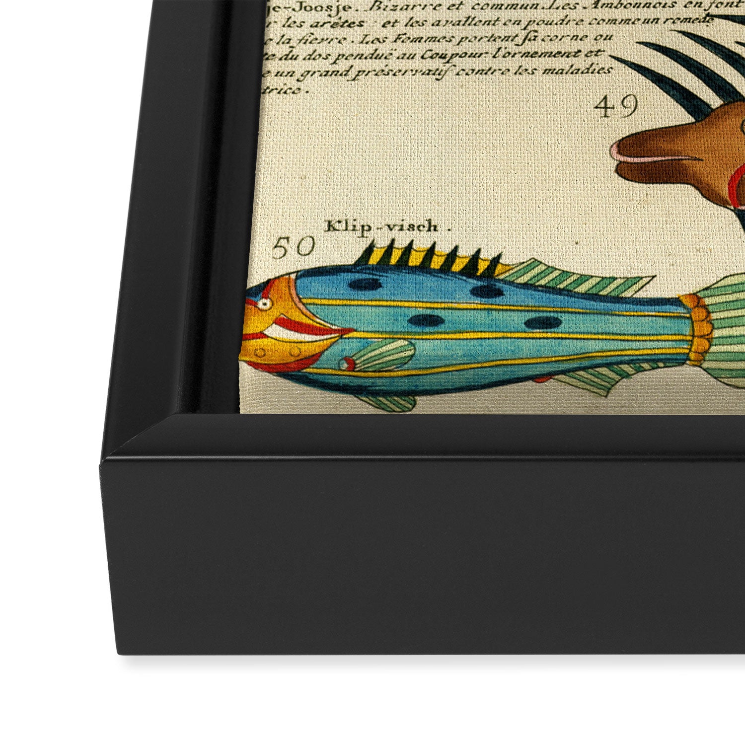 Fishes from Louis Renard's "Poissons, ecrevisses et crabes" (1754) Framed Canvas Print Gallery Image 3